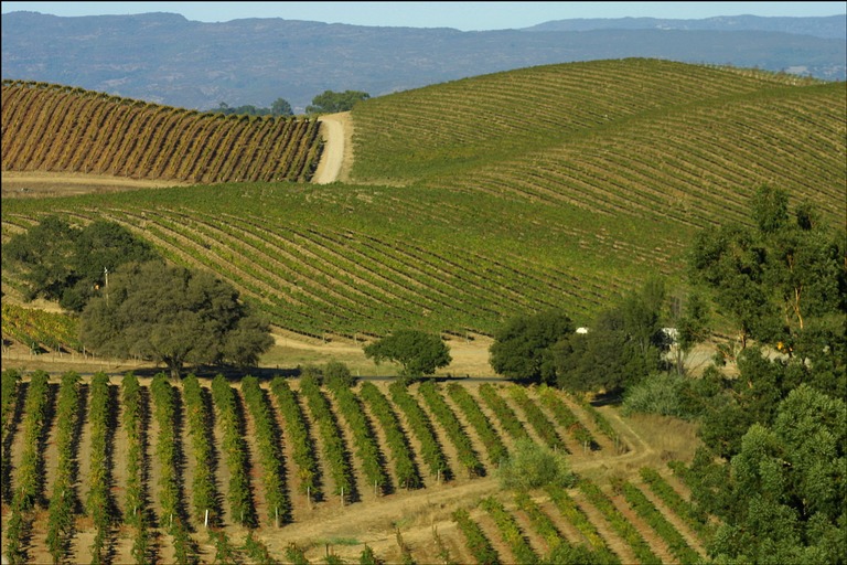 winery-views.jpg