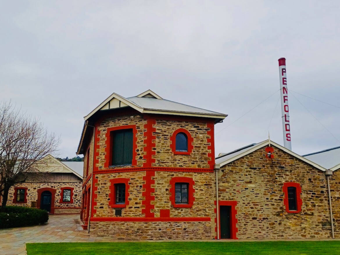 Adelaide-Hills-CDWT_0004_Penfolds-Winery-Magill-Guided-Wine-Tour-Cellar-Door-Tours.jpg