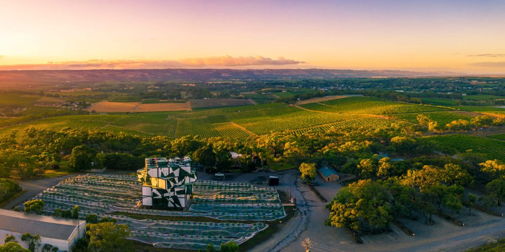 Guided Wine Tours in South Australia